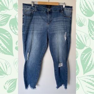 Women’s Plus Size Celebrity Pink Jeans